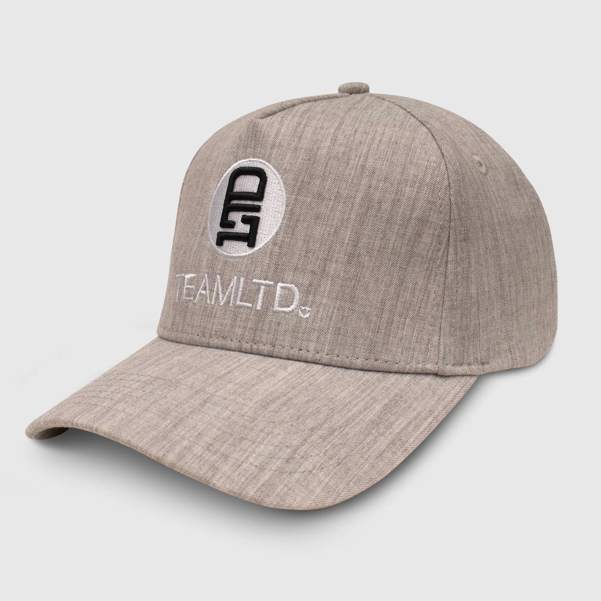 TEAMLTD  LOGO CURVED SNAPBACK HAT